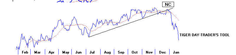 wpe187.jpg (17013 bytes)