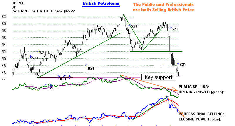 BP.BMP (1034454 bytes)