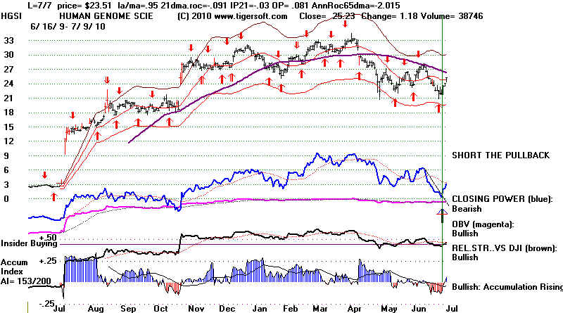 wpe1A2.jpg (75031 bytes)
