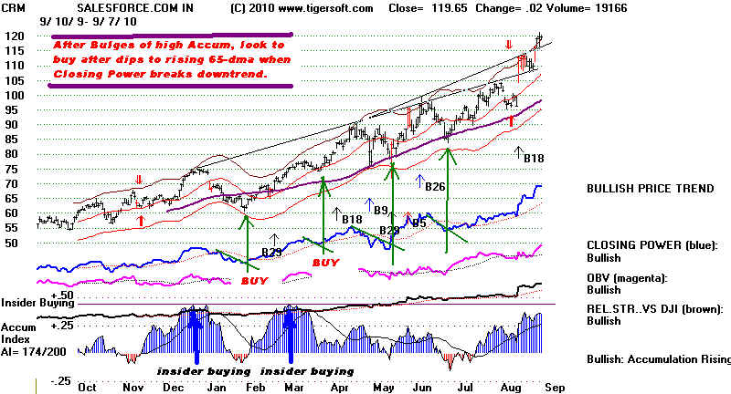 wpe1A2.jpg (79924 bytes)