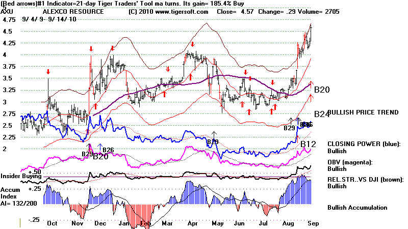 wpe1AB.jpg (80045 bytes)