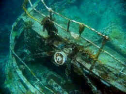 wpe167.jpg (8661 bytes)