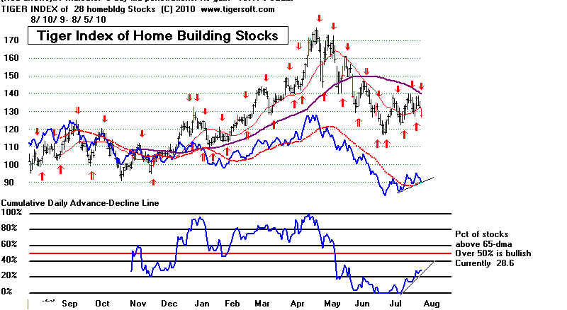 wpe1A4.jpg (61503 bytes)