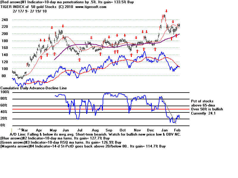 MASTGOLD.BMP (1920054 bytes)