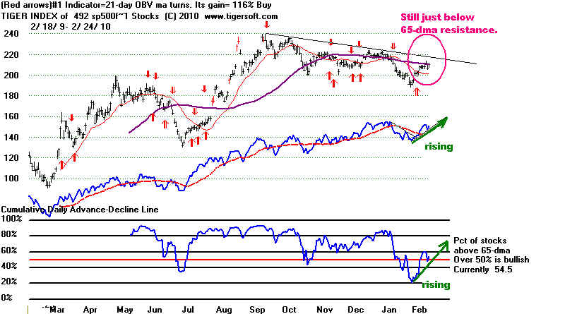 wpe18D.jpg (64878 bytes)