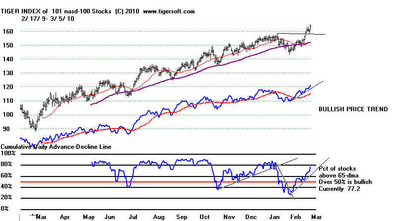 wpe194.jpg (58710 bytes)