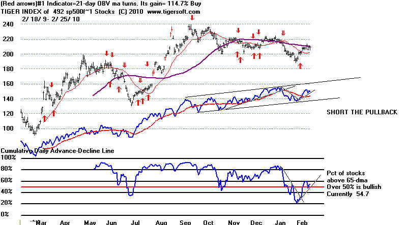 wpe4C1B.jpg (63475 bytes)