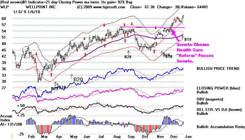 WLP.BMP (1096854 bytes)