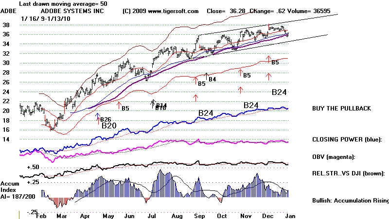 wpe183.jpg (71928 bytes)