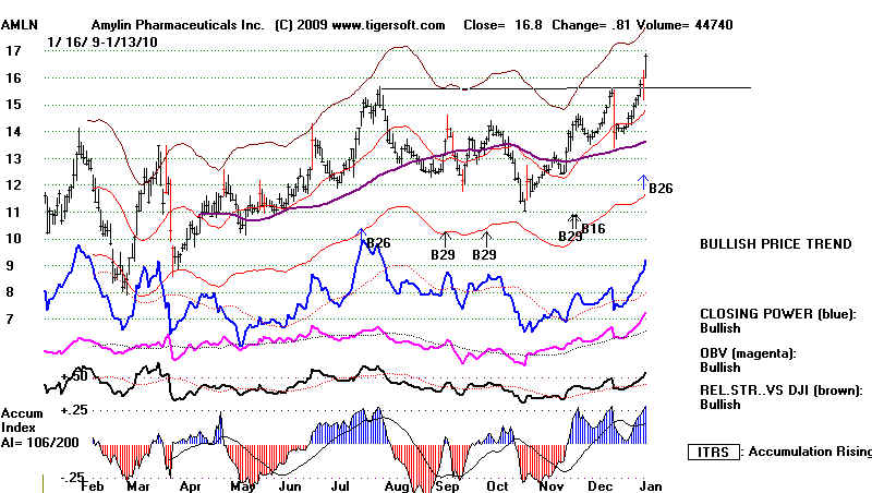 wpe184.jpg (72553 bytes)