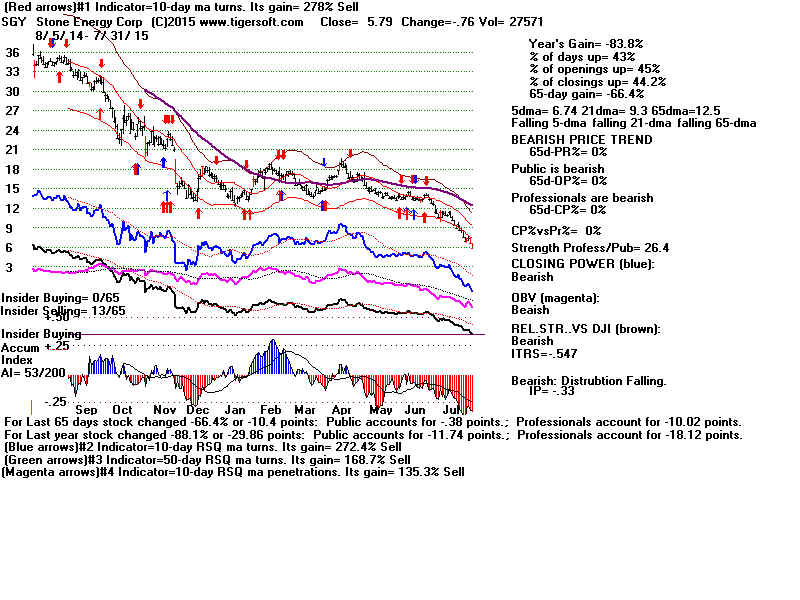 SGY.GIF (1920054 bytes)