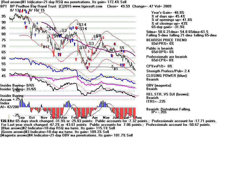 BPT.GIF (1920054 bytes)