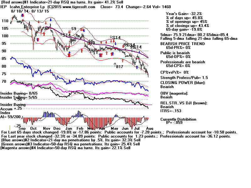 IEP.GIF (1920054 bytes)