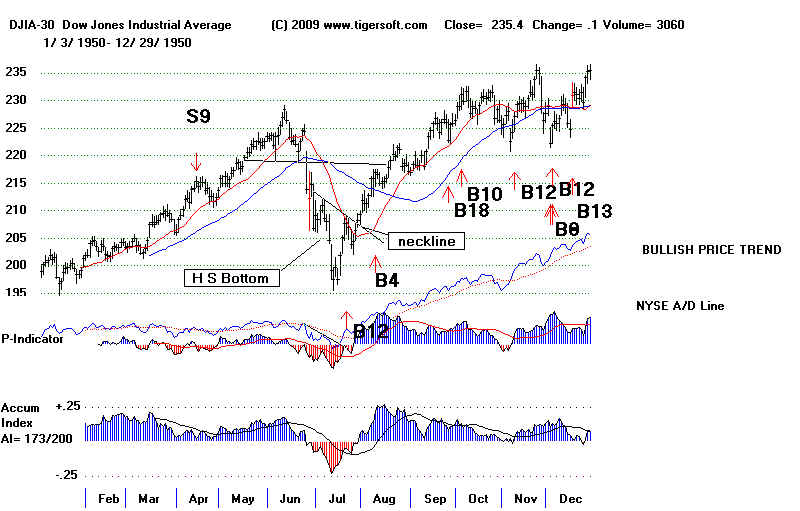 wpe15C.jpg (64034 bytes)