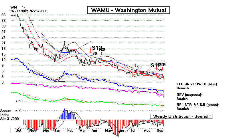 wpe12D.jpg (67770 bytes)